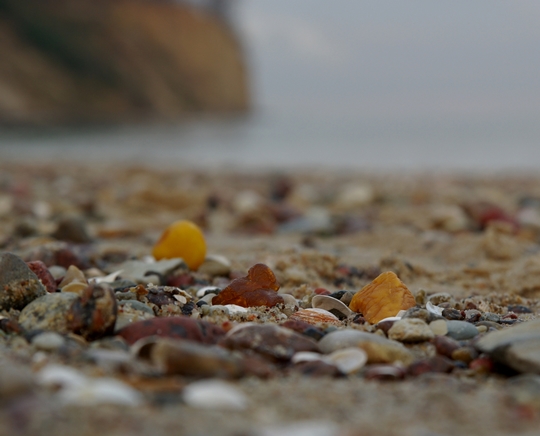 piezas del ámbar en crudo entre la arena de una playa